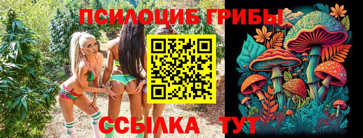 Галлюциногенные грибы мухоморы Баксан